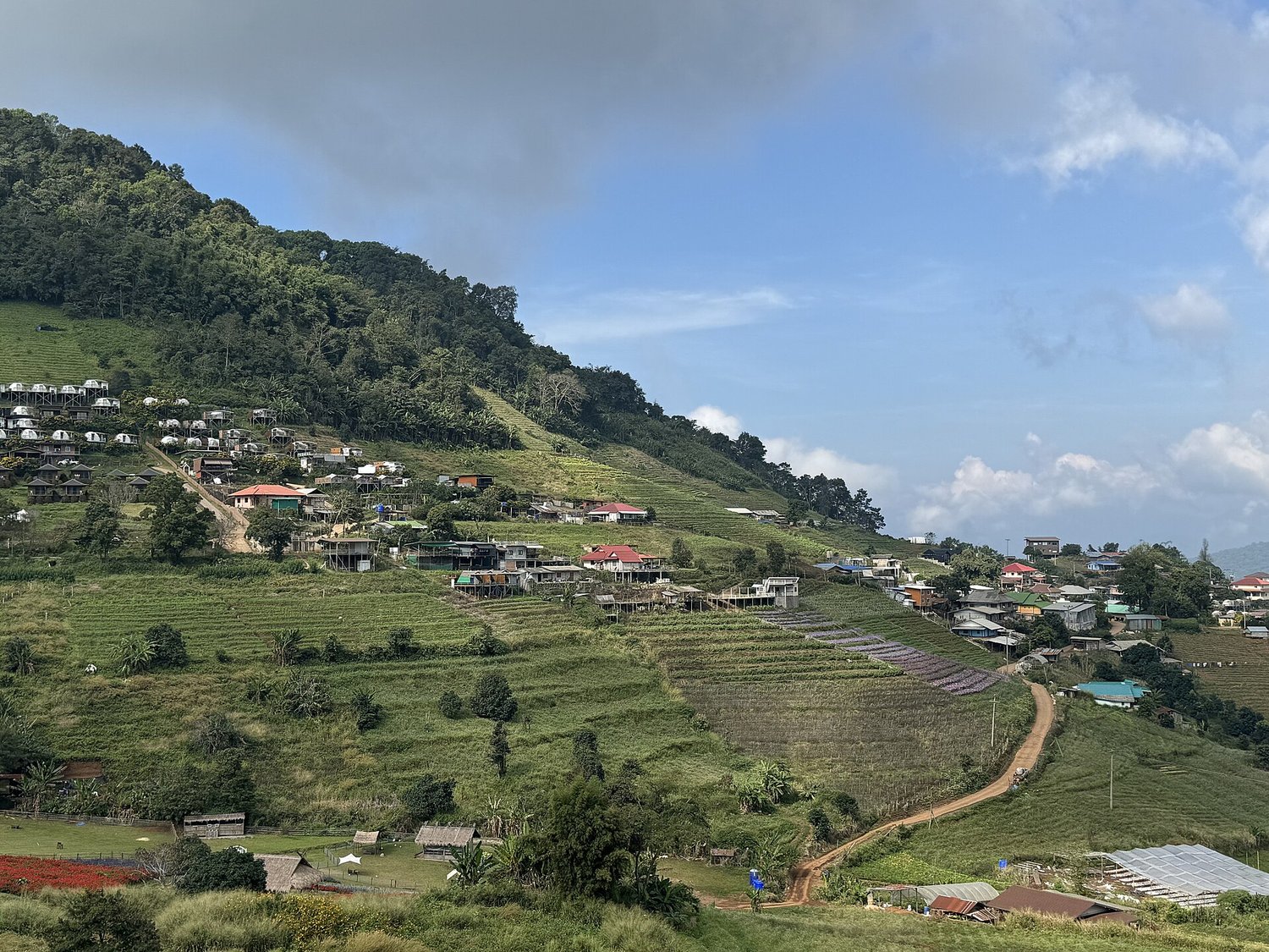 True Nature, Chiang Mai